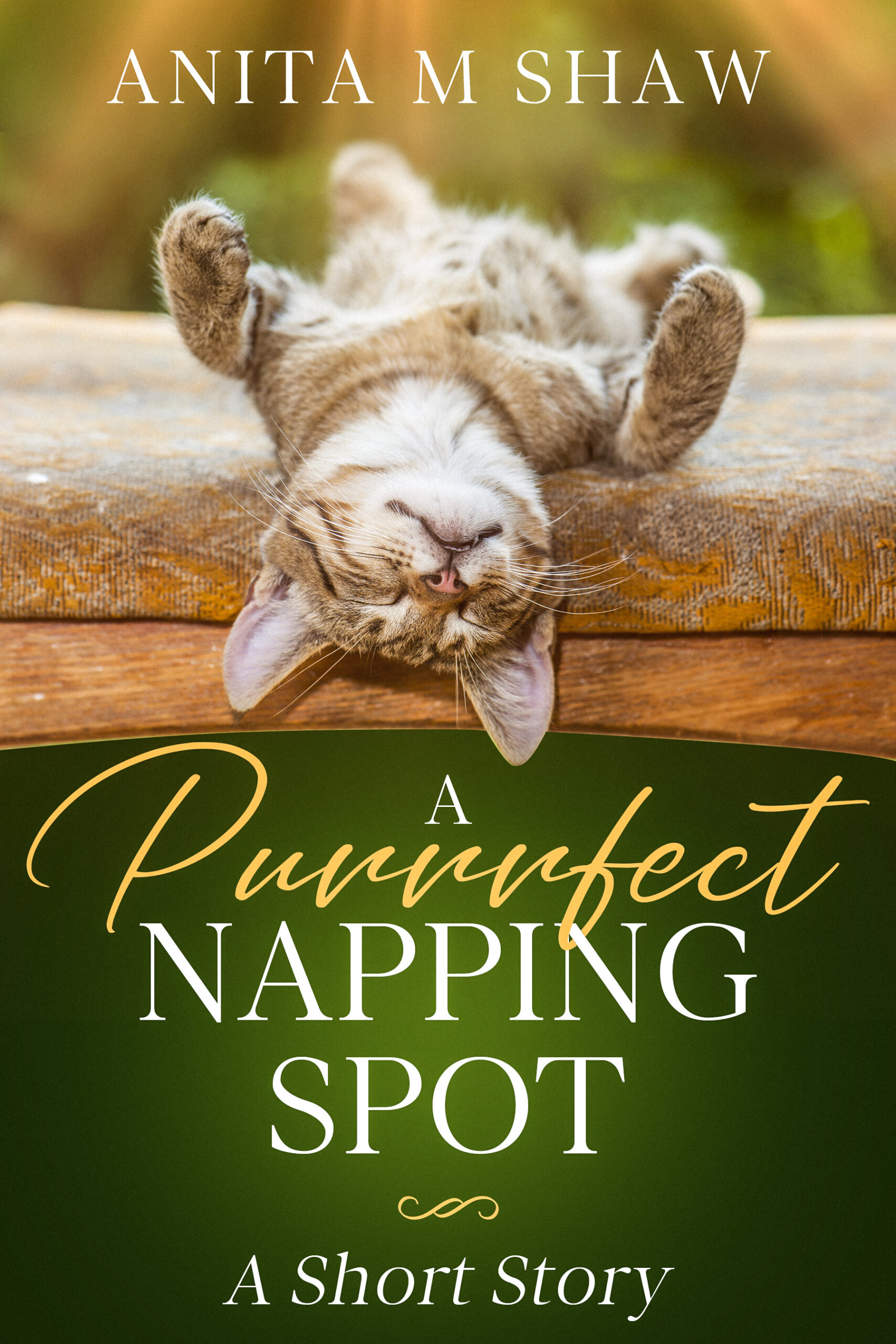 A Purrrfect Napping Spot A Purrrfect Napping Spot Book Cover Image